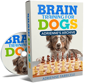 Andrienne&rsquo;s Archives &mdash; Brain Training For Dogs bonus