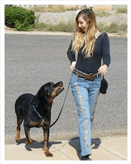 Adrienne Farricelli — CPDT-KA certified professional dog trainer