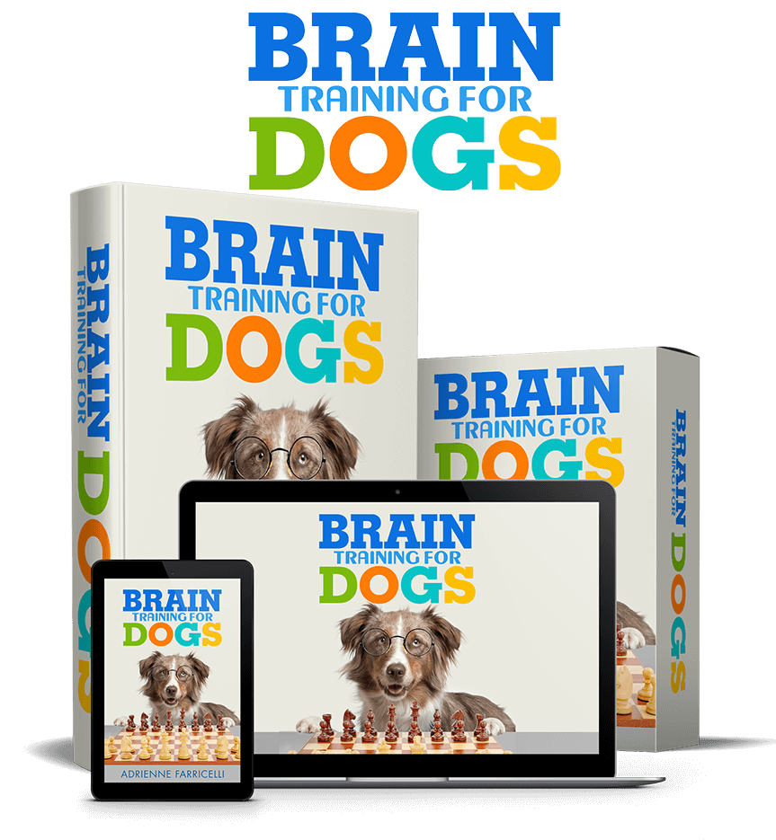 Brain Training For Dogs by Adrienne Farricelli — book, box, laptop and tablet mockup