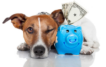 Save with Brain Training For Dogs &mdash; happy dog with piggy bank